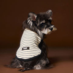 Pet-themed striped knit Sweater
