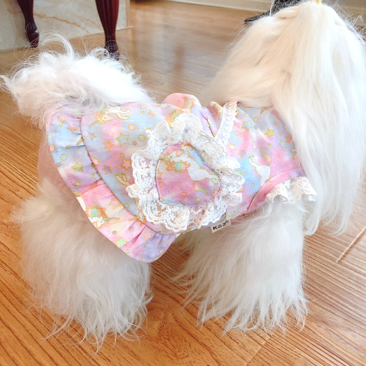 Dress of Dog Summer Pet  Unicorn Printing Skirt