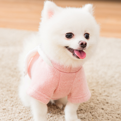 Dog Shirts Pomeranian Small Pet Princess Female