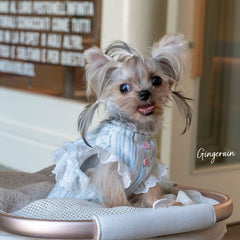 French lace-patterned pet dress