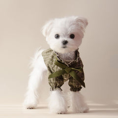 Patterned bow-shaped pet shirt dress