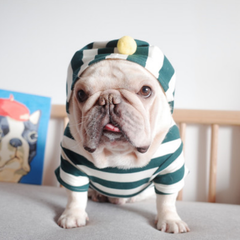 Dog Hoodie Stretch Striped  Buldog