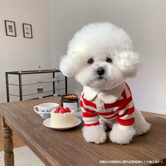 Striped Dog Shirt with Collar and Leash Ring