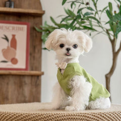 Green V-Neck Bow-Knot Cute Pet Knit Vest