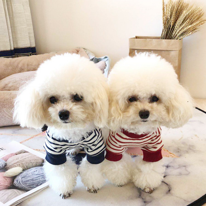 Dog Shirts Pet Clothes Striped Fashion Bottoming
