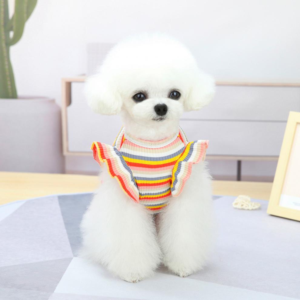 Dog Shirts Cute Lace Color Cat Stripe Skirt Vest