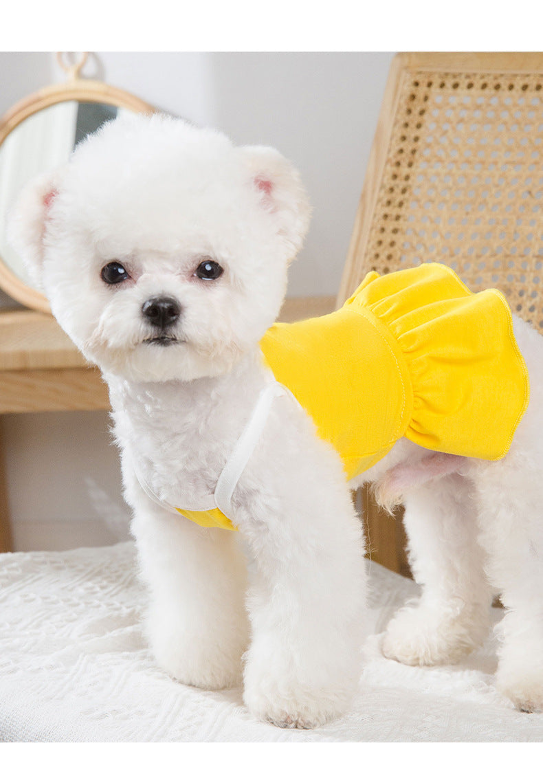 Small Yellow Button Dog in Dress