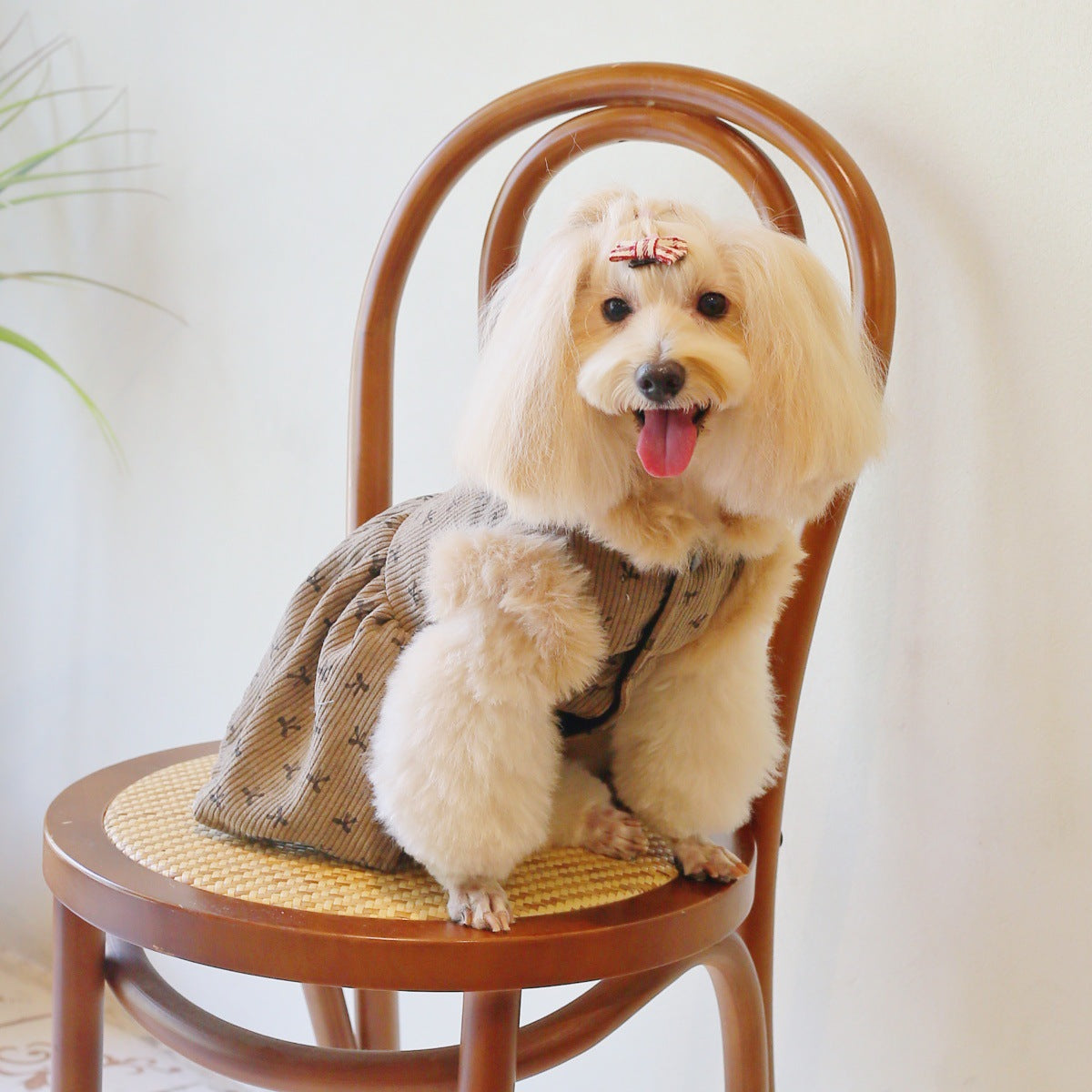 Dog Dress Cute Princess Lapel Top