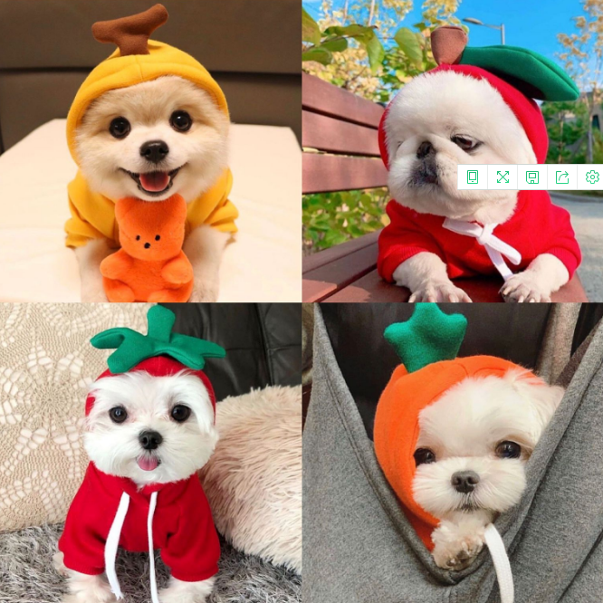 Dog Hoodie Pet Clothes Funny Sweater