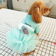 Dress of Dog Spring Summer Letter Print Lace Skirt