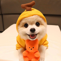 Dog Hoodie Pet Clothes Funny Sweater