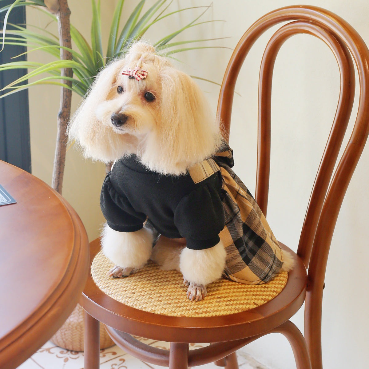 Dog Dress Cute Princess Lapel Top