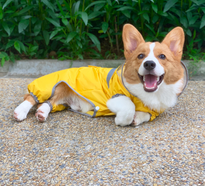 Dog Hoodie Summer Puppies Waterproof Raincoat