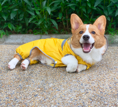 Dog Hoodie Summer Puppies Waterproof Raincoat