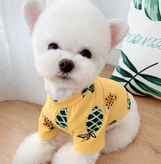 Dog Shirts Pineapple Print Yellow  Pet Clothes