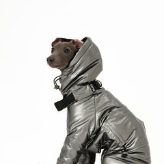 Pet four-legged thermal clothing for a Greyhound-like hunting dog body type