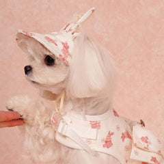 Pet Harness & Hat Set: 100% Cotton Cute-Style Leash