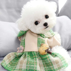 Dog in Dress Green Plaid Lapel Flower