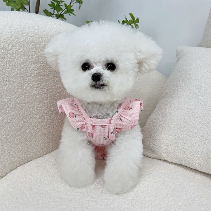 Dog Shirts Pomeranian Teddy Small and Medium-sized Dog Clothes with Fleece Thermal Tops