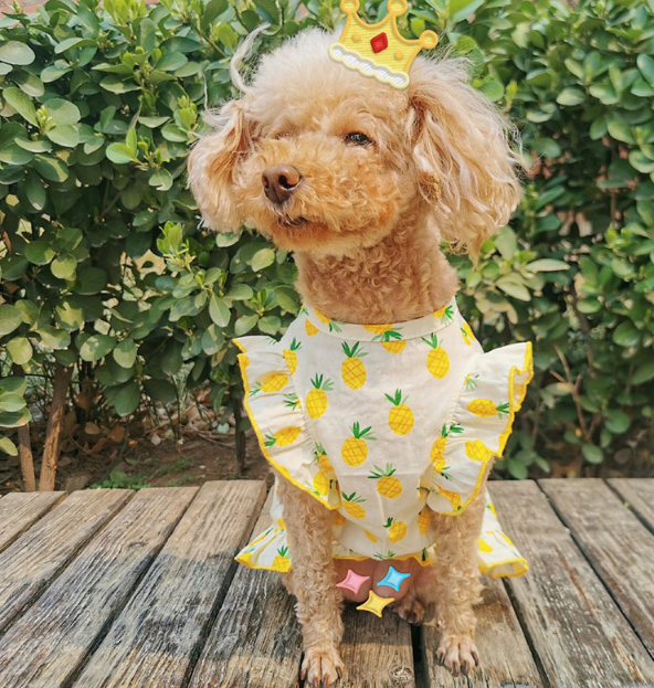 Dog Dresses Summer Pineapple Skirt T-Shirt Vest