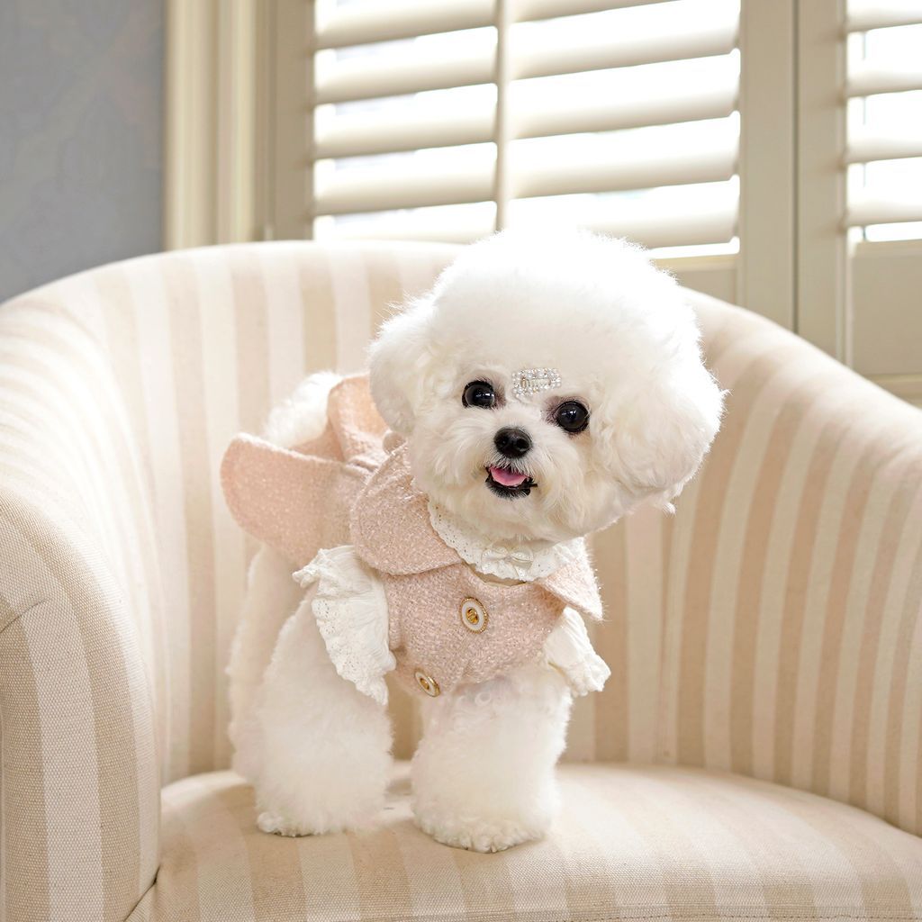 Luxury Pet Tweed Jacket - Chanel-Style Elegance