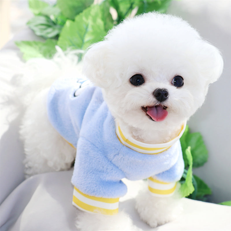 Kids Dogs T Shirt Blue Bichon Cute Dog Warm Tops