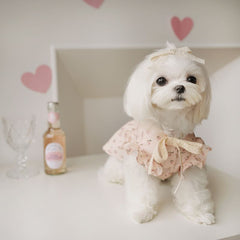 Pet Floral Lolita Set: Sweet Pink