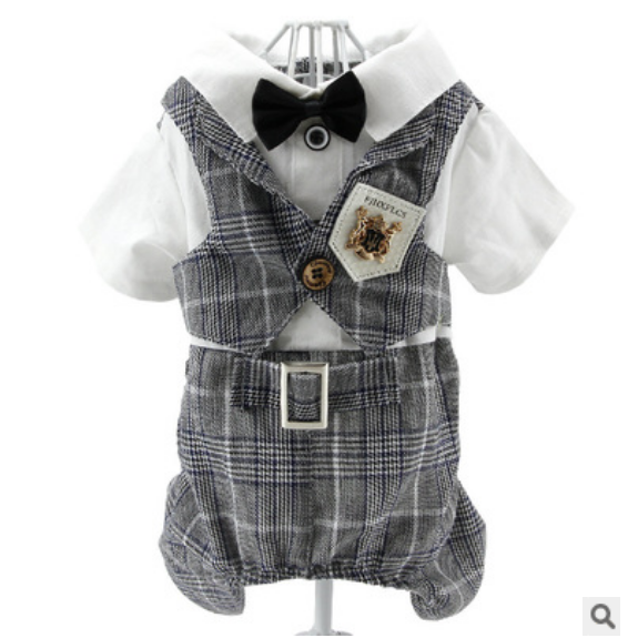 Dress of Dog Teddy Handsome JumpSuit