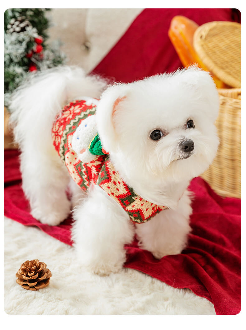 Dog Shirts Christmas Red Three-dimensional Bear Knit Sweater