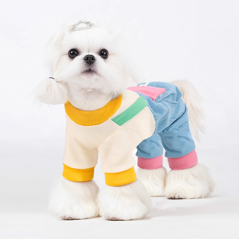 Striped Dog Shirt with Collar and Leash Ring