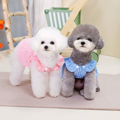 Dog Dress Cute Drag Striped Teddy Bichon Top