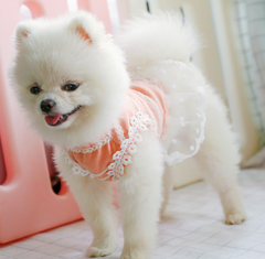 Dog Shirt Summer Pet Skirt T-Shirt Vest