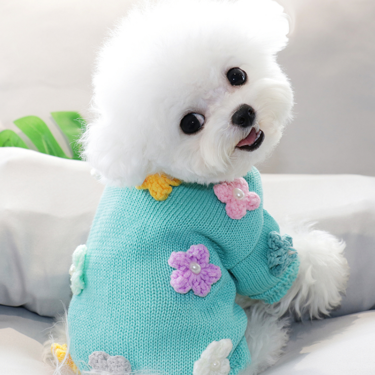 Dress of Dog Short Sweater Schnauzer Casual Small Pet