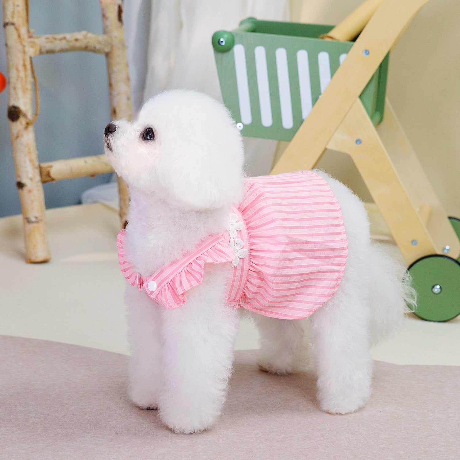 Dog Dress Cute Drag Striped Teddy Bichon Top