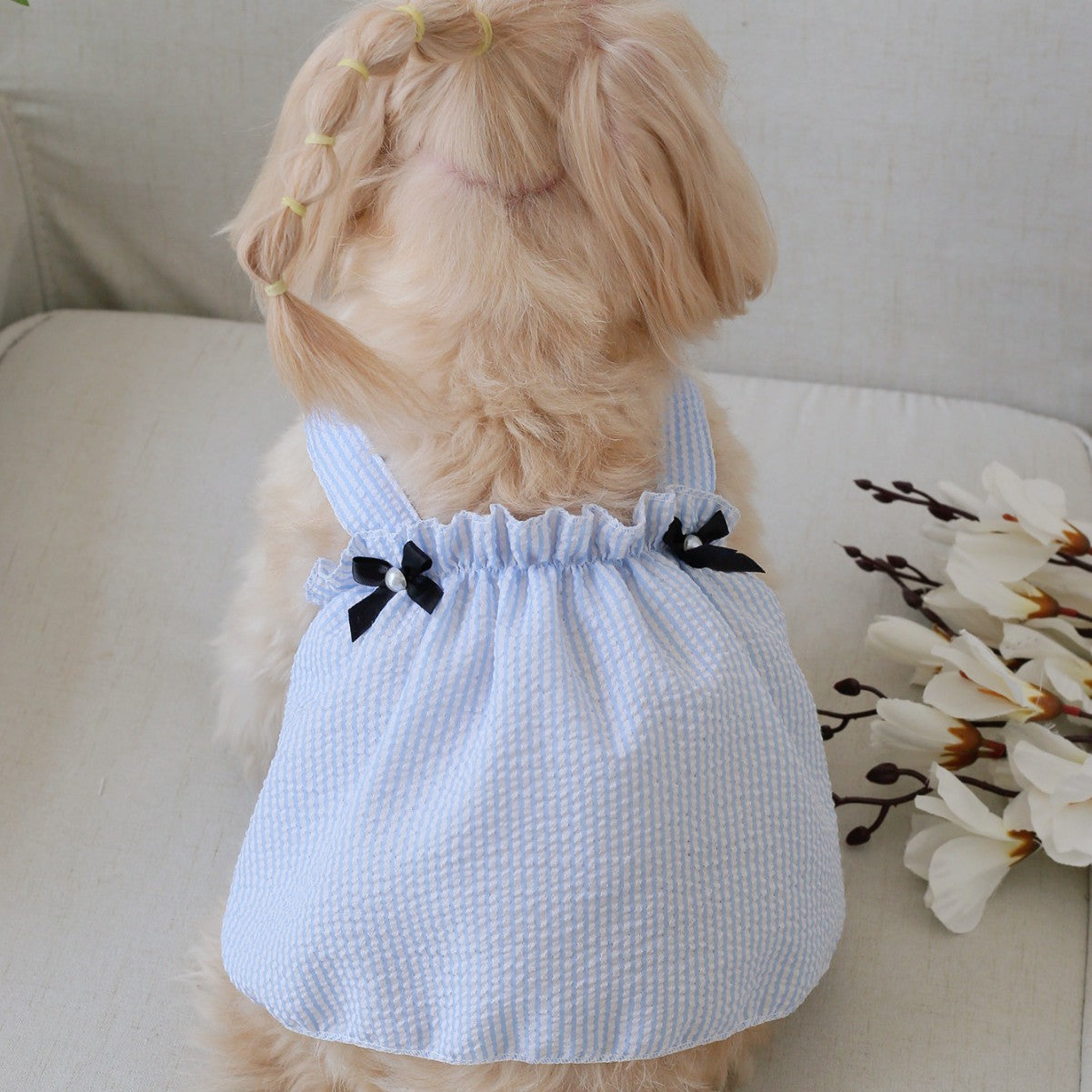 Soft Denim Dog Harness Outfit for Small Pets