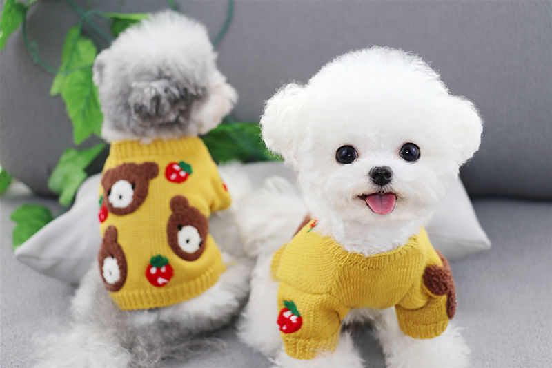 Dog Shirts Pet Bear Strawberry Sweater