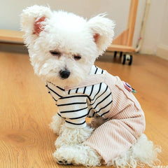 Dog Hoodie Stripe Autumn Corduroy Teddy Bichon Overalls