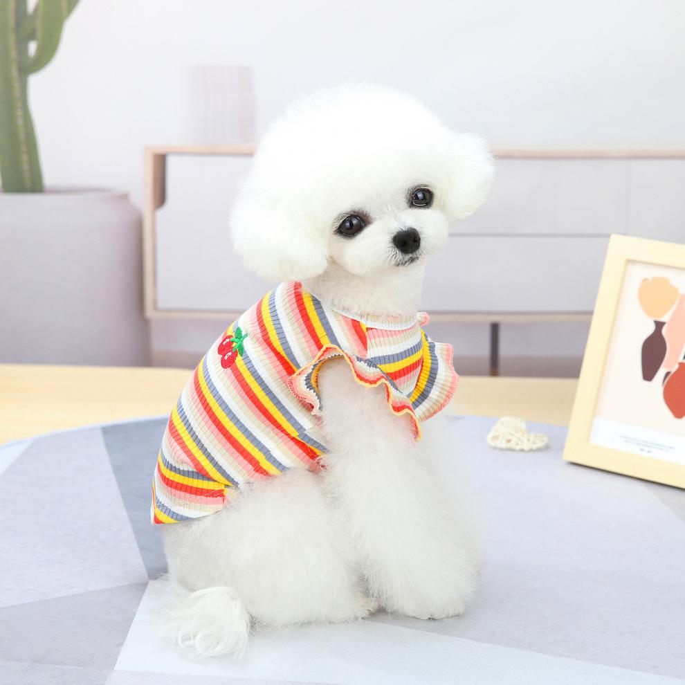 Dog Shirts Cute Lace Color Cat Stripe Skirt Vest