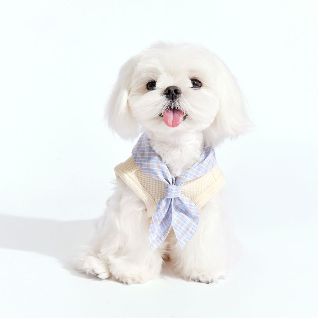 College-themed Furgo Pet Cartoon Vest