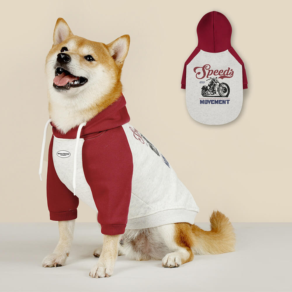 Dog Hoodie Autumn/winter Cool Warm Letter Print Velvet Sweatshirt with Hood