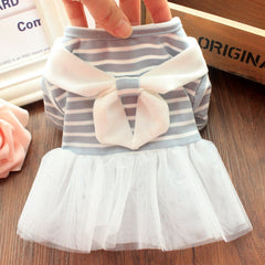 Dress of Dog Spring Cute Lace Stripe Pet Tops