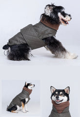 Dog Shirts Autumn/winter Cool Cotton Cloak Quilted Turtleneck