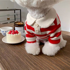 Striped Dog Shirt with Collar and Leash Ring