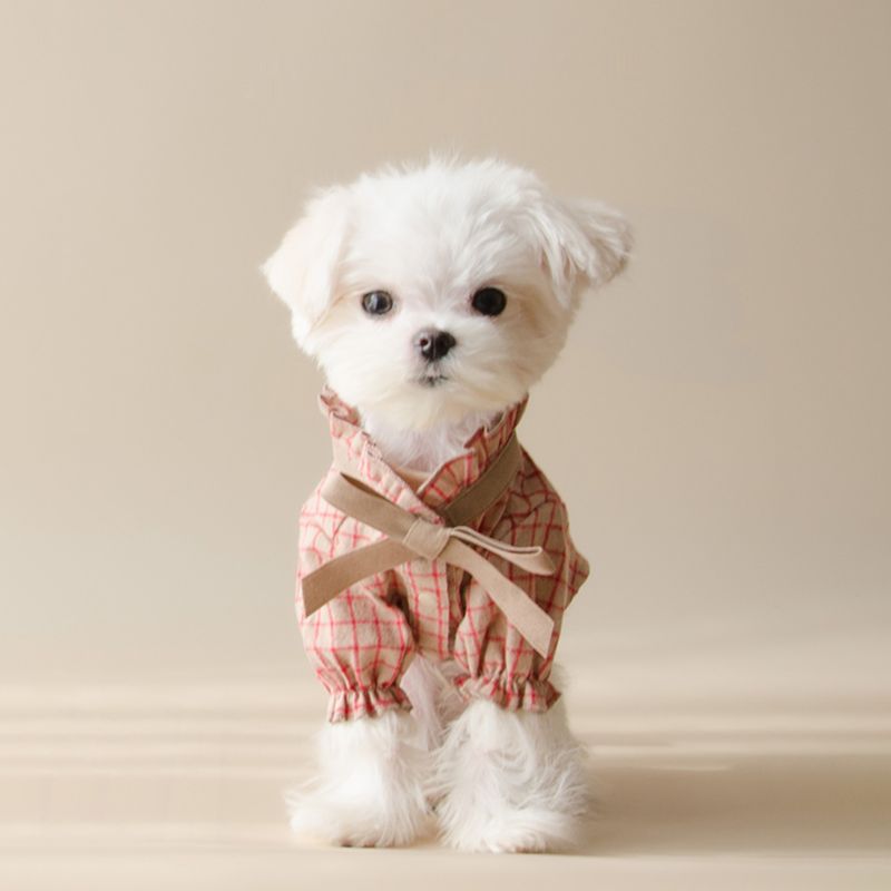 Patterned bow-shaped pet shirt dress