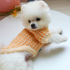 Dress for Dog Winter Plaid Two Legs Sweater