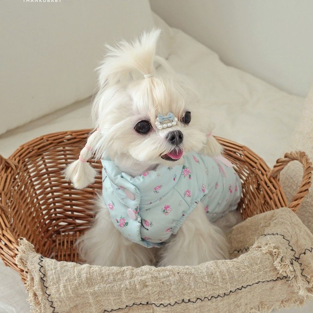 Pet warm-up outerwear down jacket