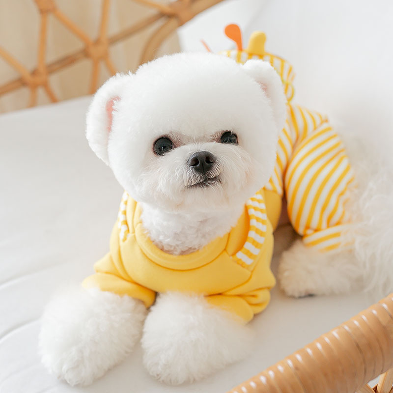 Jumpsuit for Dog Cute Stripe Bag Autumn Winter